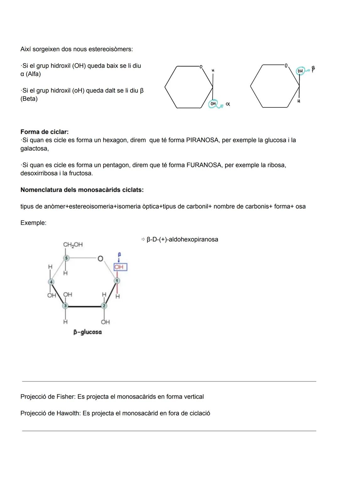 UD 2: ELS GLÚCIDS

Els glúcids (o sucres), anomenats així perquè molts són dolços, aquests són biomolècules formades
principalment per carbo
