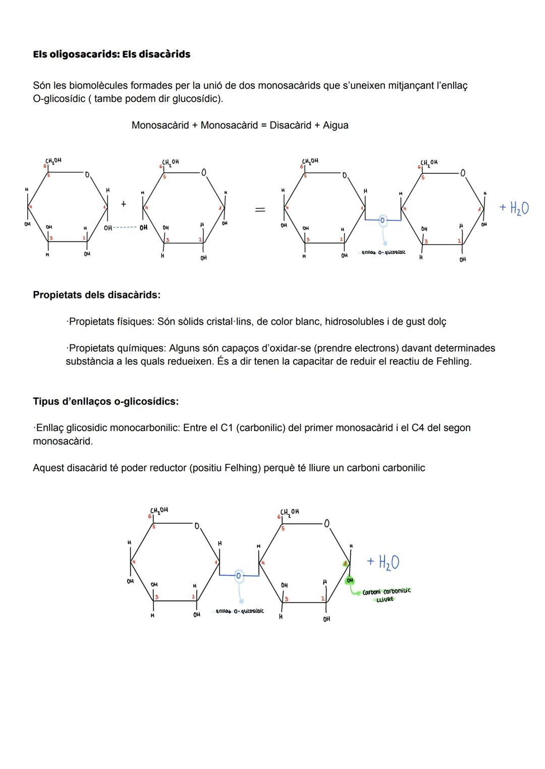 UD 2: ELS GLÚCIDS

Els glúcids (o sucres), anomenats així perquè molts són dolços, aquests són biomolècules formades
principalment per carbo