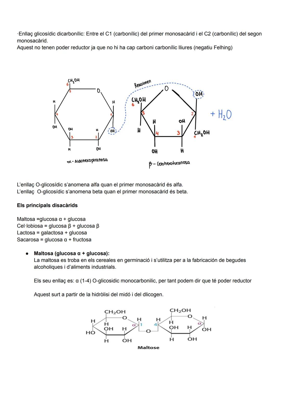 UD 2: ELS GLÚCIDS

Els glúcids (o sucres), anomenats així perquè molts són dolços, aquests són biomolècules formades
principalment per carbo