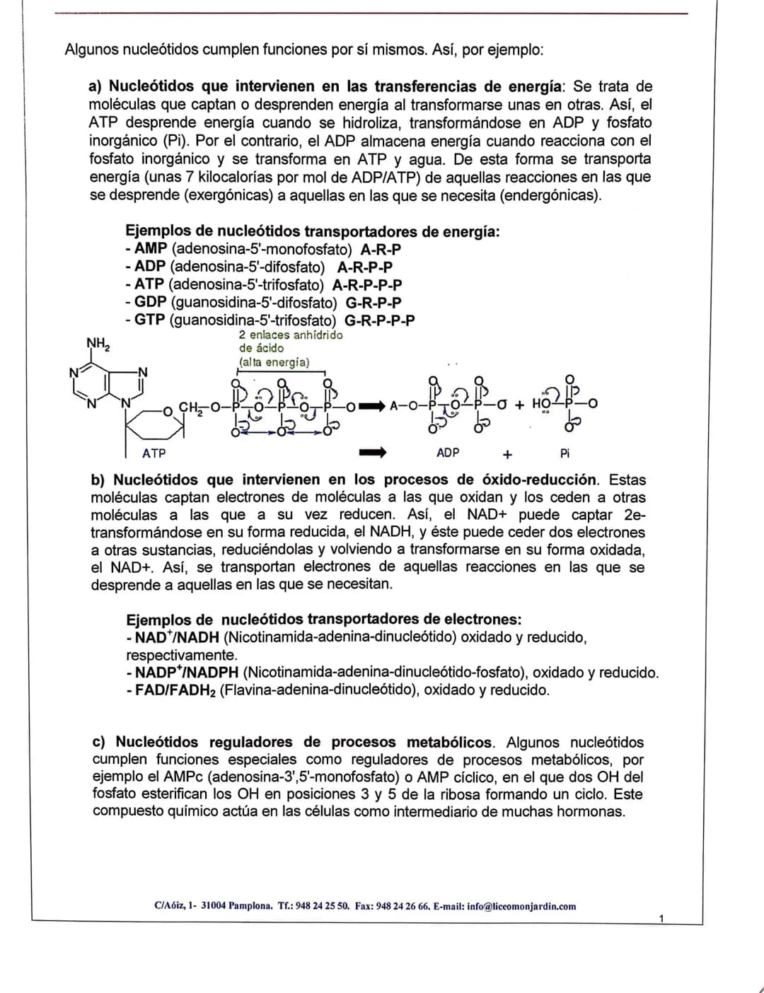 METABOLISMO, ENZIMAS
1- El metabolismo celubur commende las reacciones químicas que permiten la vida
Metabolismo celular - conjunto reacc. q