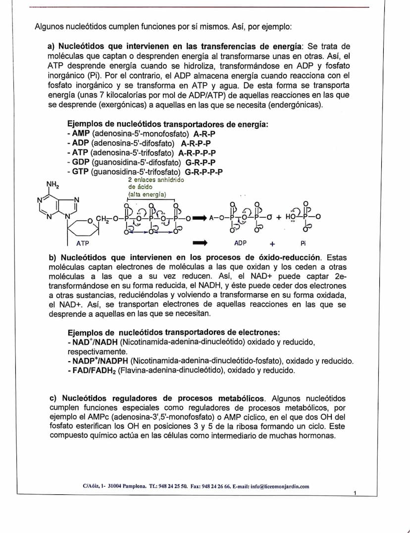 METABOLISMO, ENZIMAS
1- El metabolismo celubur commende las reacciones químicas que permiten la vida
Metabolismo celular - conjunto reacc. q