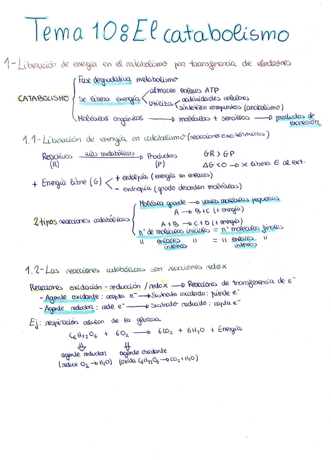 METABOLISMO, ENZIMAS
1- El metabolismo celubur commende las reacciones químicas que permiten la vida
Metabolismo celular - conjunto reacc. q