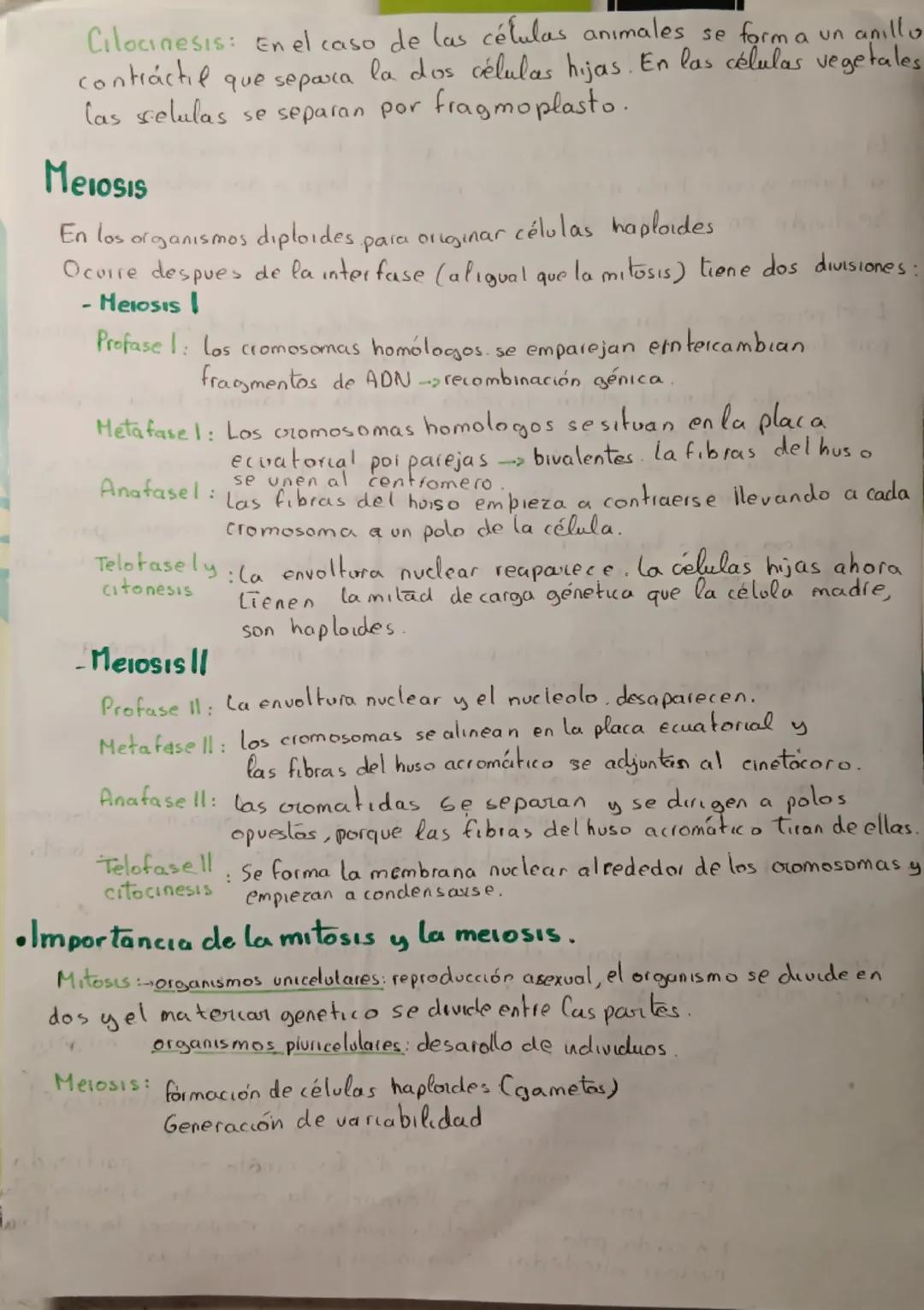 NOTA
EL CICLO CELULAR
El ciclo celular es una serie de procesos que van desde que una nueva célula
se forma y crece hasta que se divide para