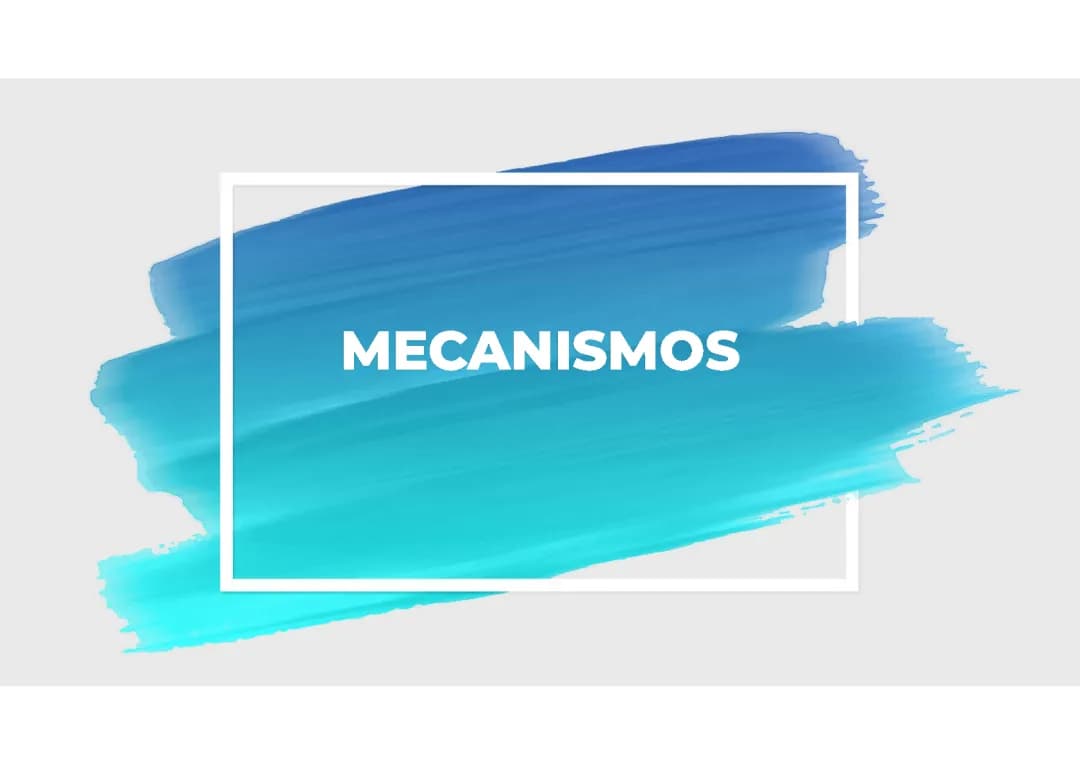 Mecanismos