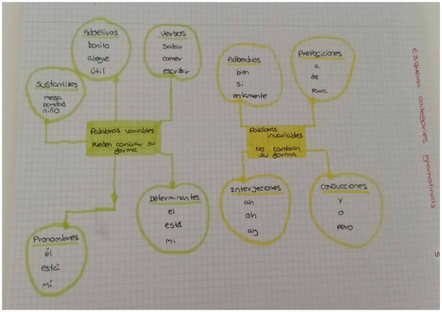 Sustanticos
mesa
bondad
niño
Pronombres
él
esta
Mí
Adjetivos
bonito
alegue
útil
Palabras variables
Pueden cambiar su
forma
Verbos
Satar
come