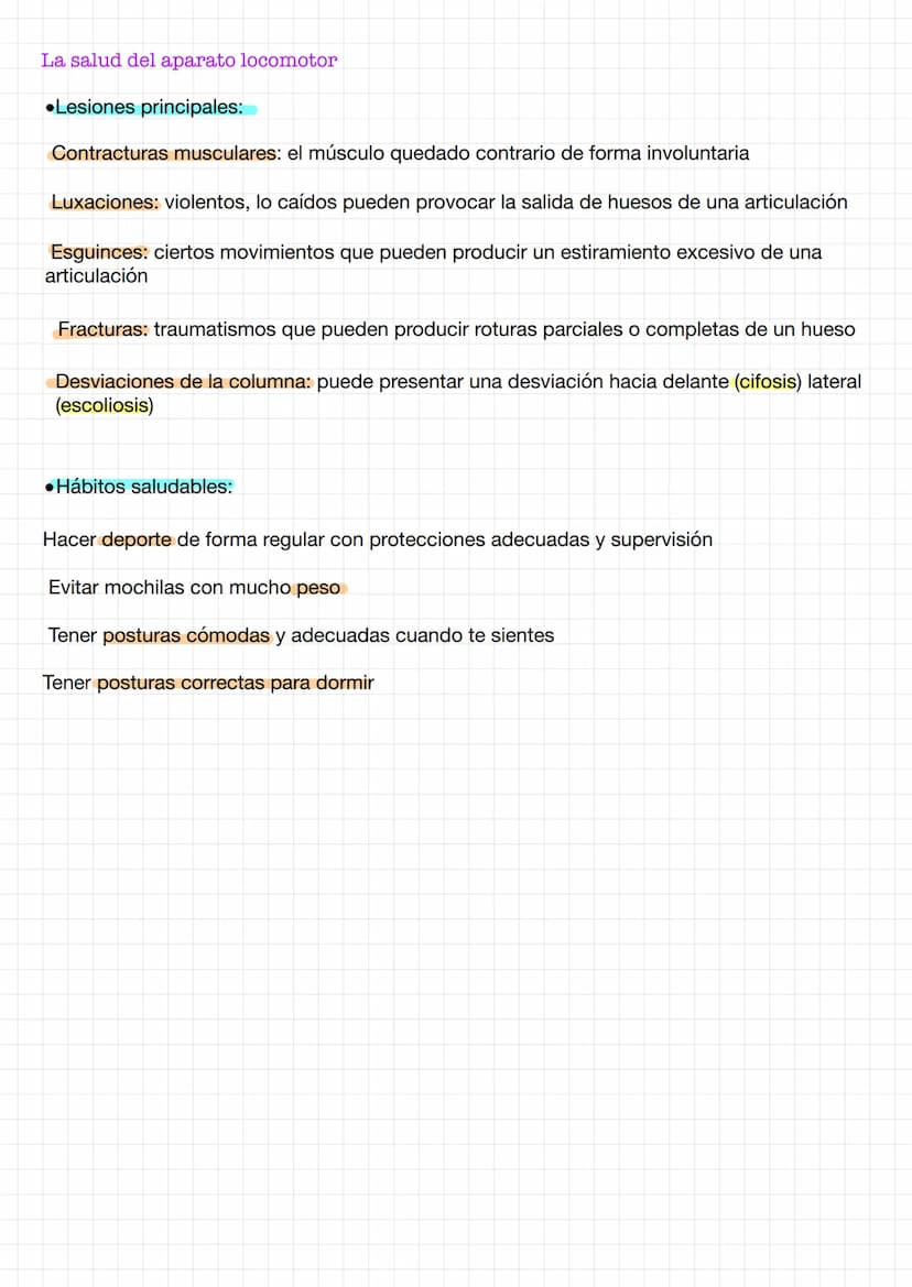  Los sentidos
Los receptores
•son células especializadas sensibles a un estímulo determinado. Captan la información del medio (ext. int.) y 
