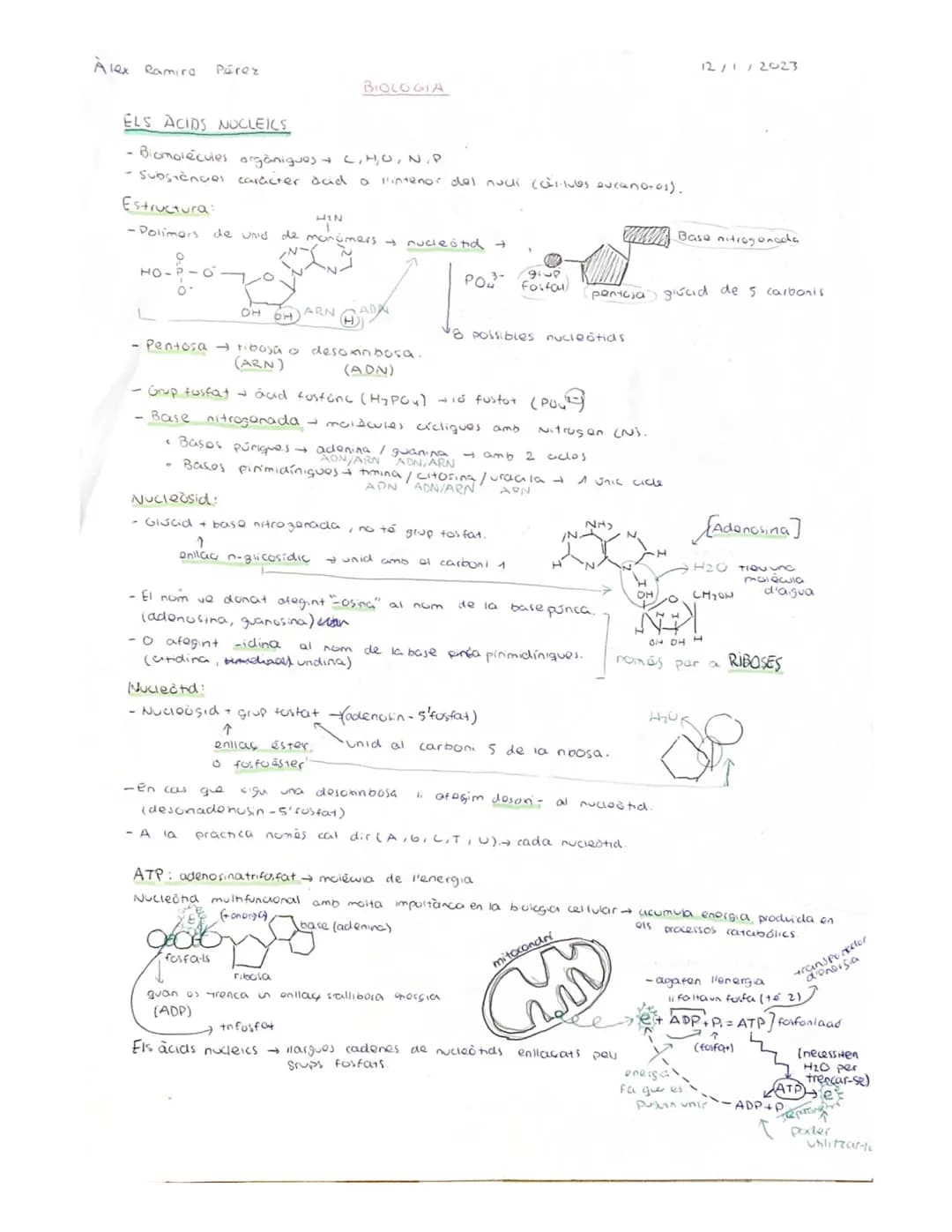 
<p>Nucleic acids are organic biomolecules composed of carbon, hydrogen, oxygen, nitrogen, and phosphorus. They are essential substances fou