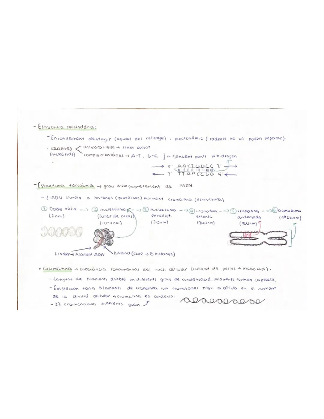 
<p>Nucleic acids are organic biomolecules composed of carbon, hydrogen, oxygen, nitrogen, and phosphorus. They are essential substances fou