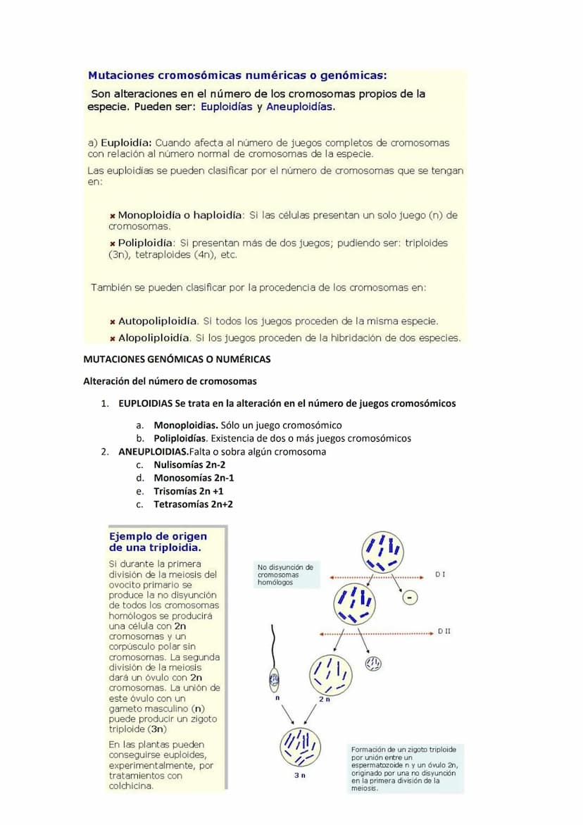 GENÉTICA DE POBLACIONES, MUTACIONES Y EVOLUCIÓN
MUTACIONES
CONCEPTO: Son cambios en la información hereditaria como consecuencia de
alteraci