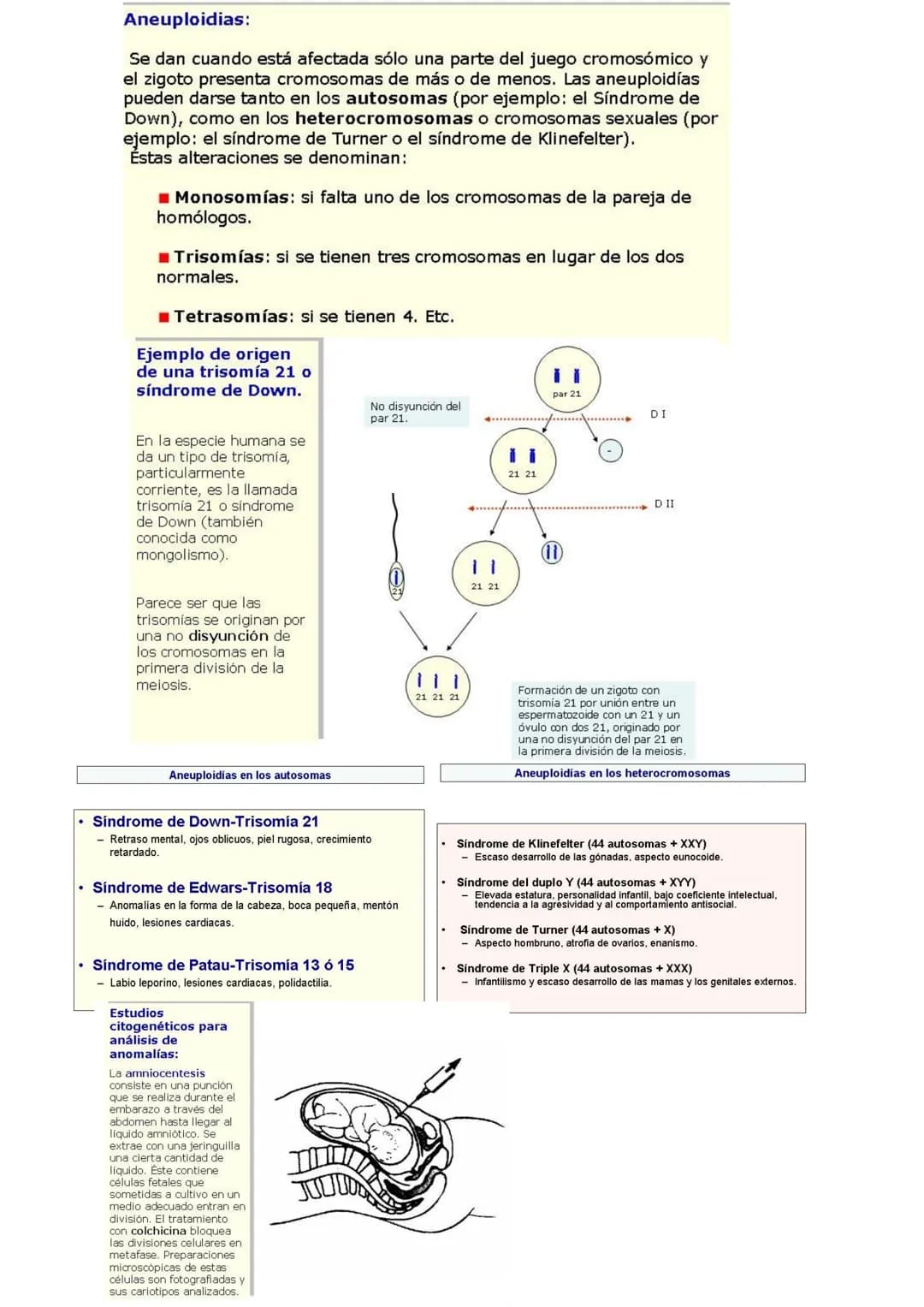 GENÉTICA DE POBLACIONES, MUTACIONES Y EVOLUCIÓN
MUTACIONES
CONCEPTO: Son cambios en la información hereditaria como consecuencia de
alteraci