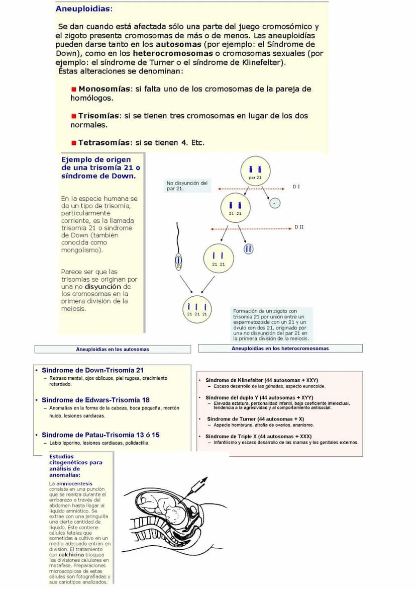 GENÉTICA DE POBLACIONES, MUTACIONES Y EVOLUCIÓN
MUTACIONES
CONCEPTO: Son cambios en la información hereditaria como consecuencia de
alteraci