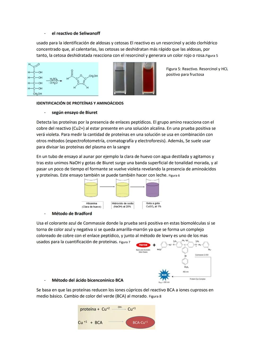 TÉCNICAS DE BIOQUÍMICA
EXPERIMENTAL
ÍNDICE
HO
HO
N2H
NH Técnicas de separación de biomoléculas..
Centrifugación...
Diálisis..
Cromatografía.