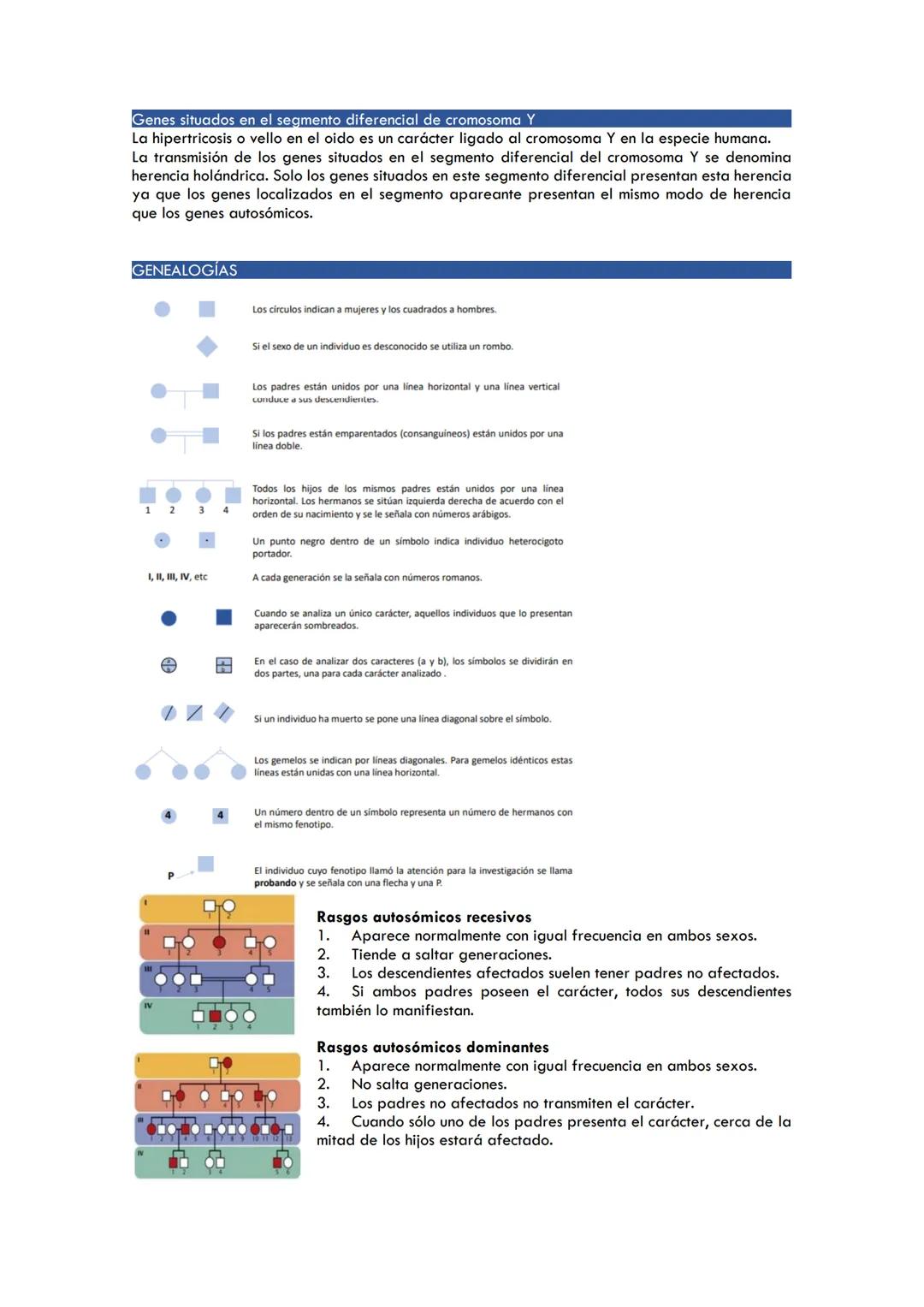 TEMA 3. HERENCIA LIGADA AL SEXO
La herencia en relación con el sexo
O Genes situados en el segmento diferencial del cromosoma X
Genes situad