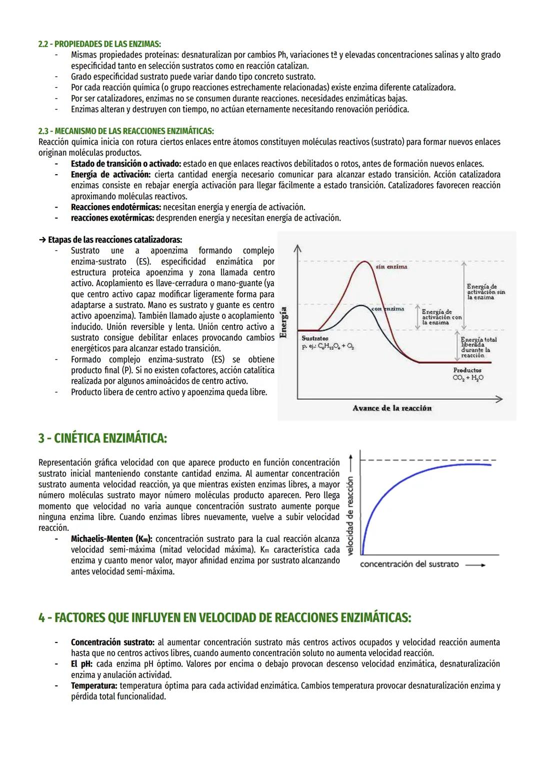 TEMA 12 - METABOLISMO Y ENZIMAS:
1- CARACTERÍSTICAS DE LAS REACCIONES METABÓLICAS:
Metabolismo es conjunto reacciones entre biomoléculas (re