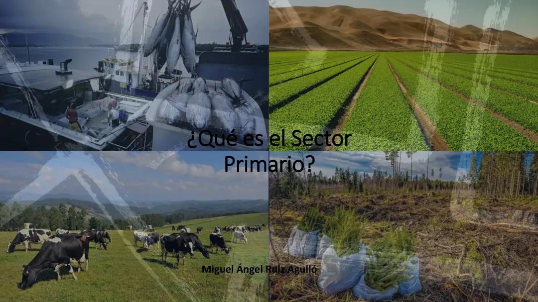 Todo sobre el sector primario: Ganadería, Pesca y la Revolución Agrícola