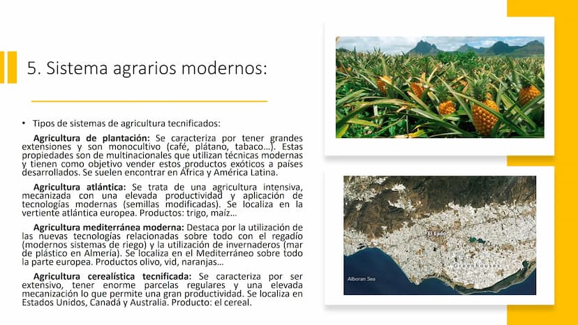 
<p>El Sector Primario se refiere a aquellas actividades económicas que tienen como objetivo principal la extracción y producción de materia