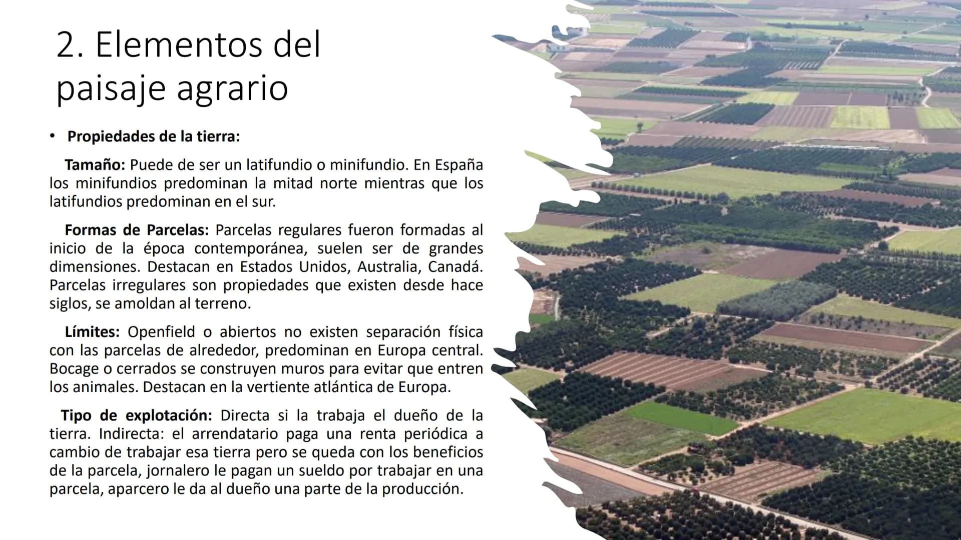 
<p>El Sector Primario se refiere a aquellas actividades económicas que tienen como objetivo principal la extracción y producción de materia