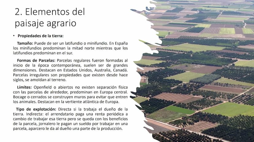 
<p>El Sector Primario se refiere a aquellas actividades económicas que tienen como objetivo principal la extracción y producción de materia