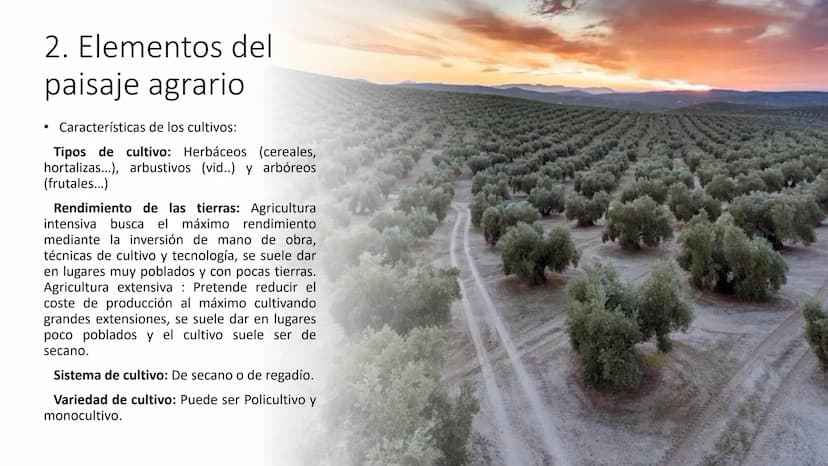
<p>El Sector Primario se refiere a aquellas actividades económicas que tienen como objetivo principal la extracción y producción de materia