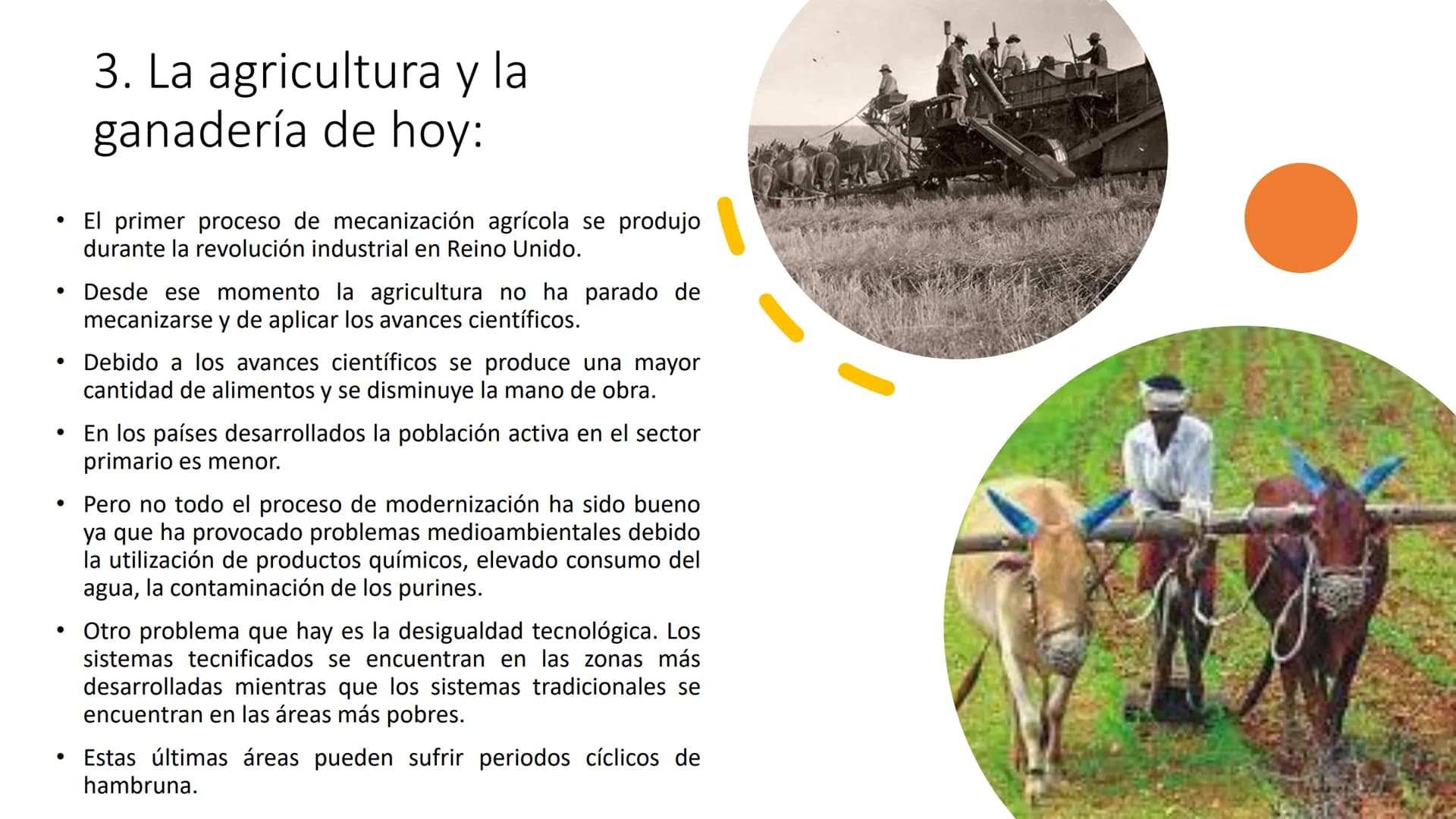 
<p>El Sector Primario se refiere a aquellas actividades económicas que tienen como objetivo principal la extracción y producción de materia