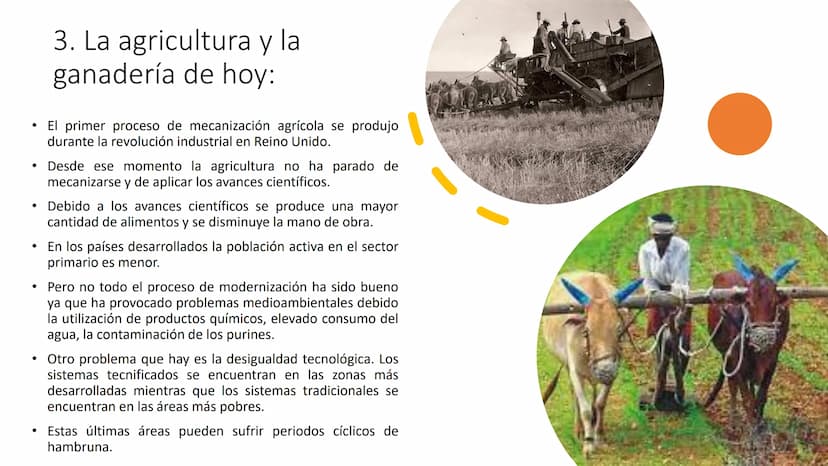 
<p>El Sector Primario se refiere a aquellas actividades económicas que tienen como objetivo principal la extracción y producción de materia