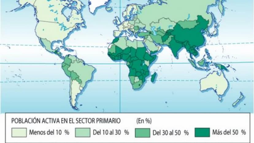 
<p>El Sector Primario se refiere a aquellas actividades económicas que tienen como objetivo principal la extracción y producción de materia