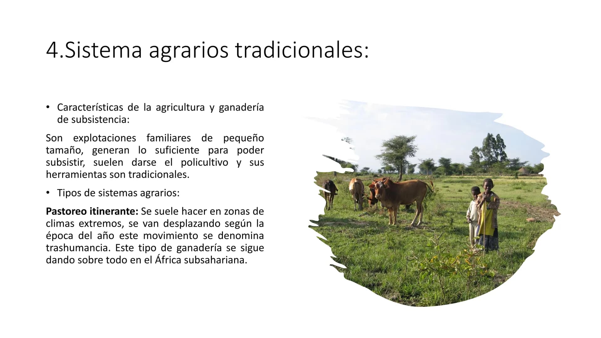 
<p>El Sector Primario se refiere a aquellas actividades económicas que tienen como objetivo principal la extracción y producción de materia