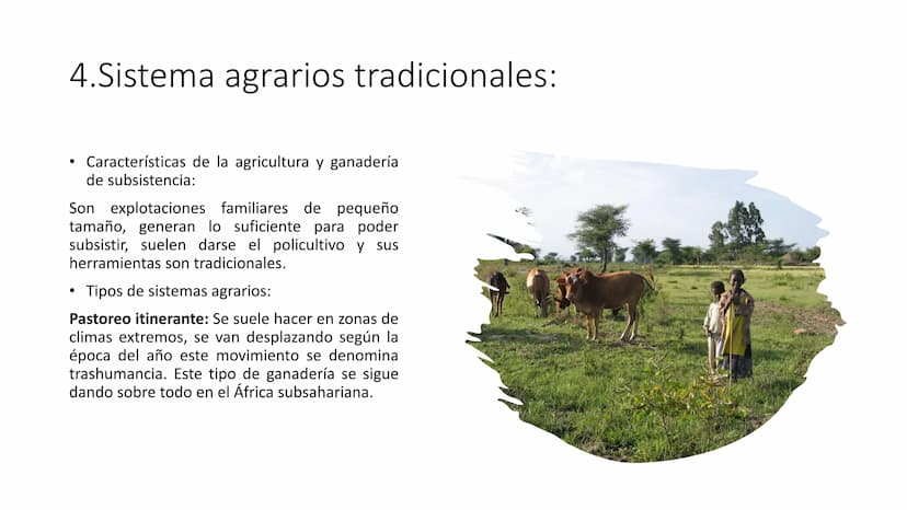 
<p>El Sector Primario se refiere a aquellas actividades económicas que tienen como objetivo principal la extracción y producción de materia