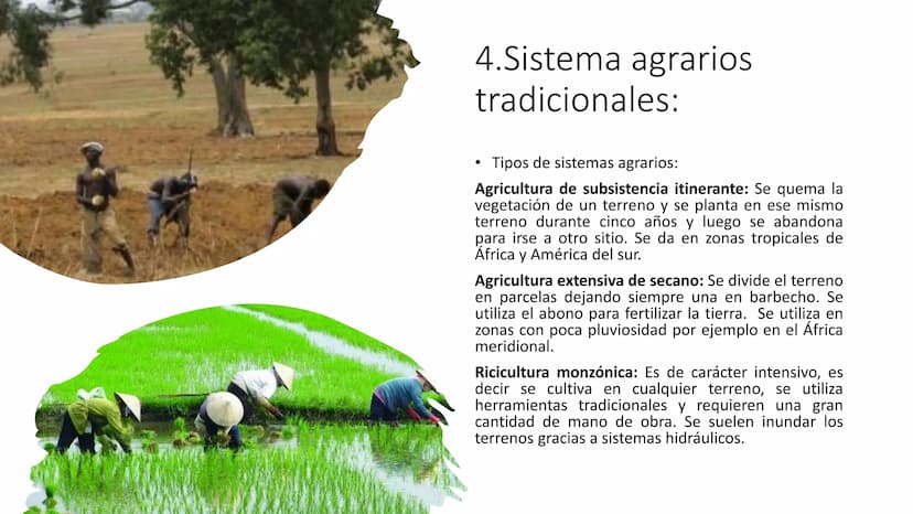 
<p>El Sector Primario se refiere a aquellas actividades económicas que tienen como objetivo principal la extracción y producción de materia