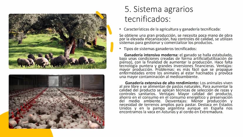 
<p>El Sector Primario se refiere a aquellas actividades económicas que tienen como objetivo principal la extracción y producción de materia