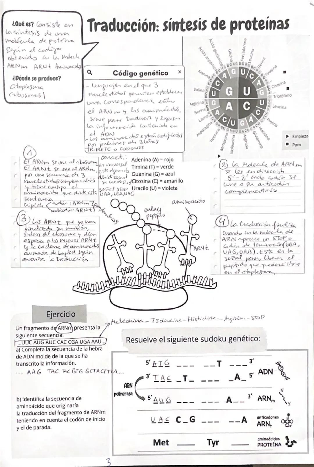 --- OCR Start ---
¿Qué es?
Es el proceso por el que una molécula
de ADN origina dos moléculas de
ADN idénticas
¿Cuándo se produce?
En la fas