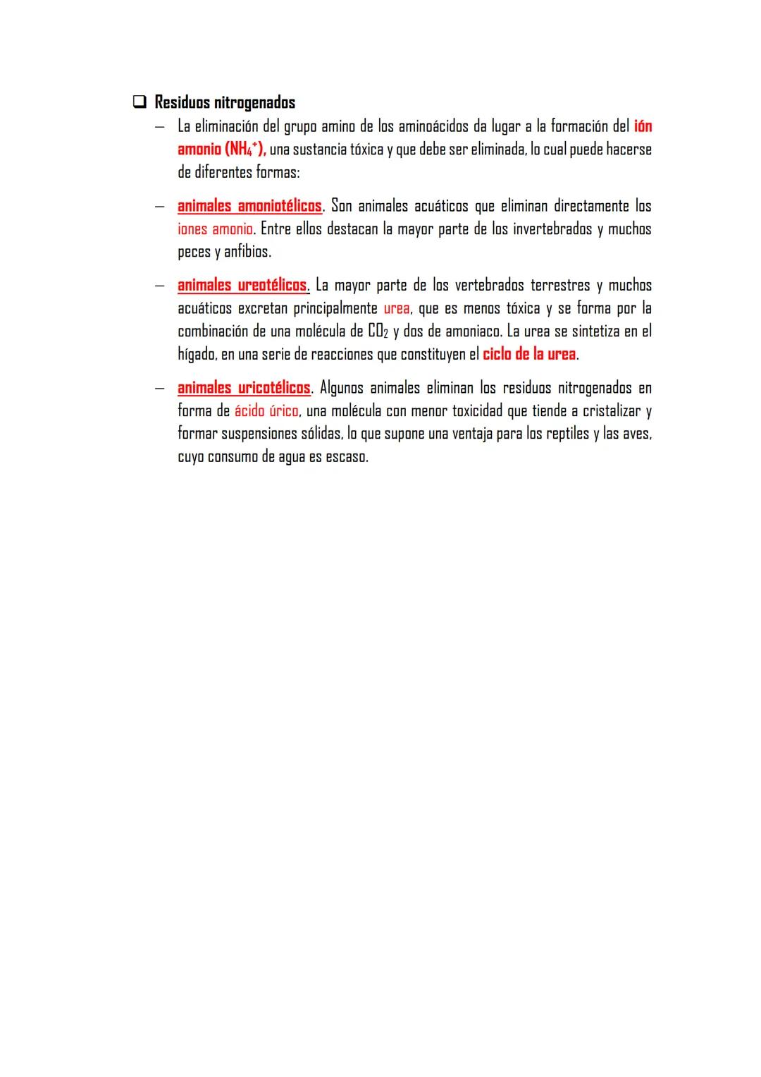 CATABOLISMO DE PROTEÍNAS
Las proteínas son polímeros de aminoácidos unidos por enlaces amida. Su catabolismo
hidroliza estos enlaces y rinde