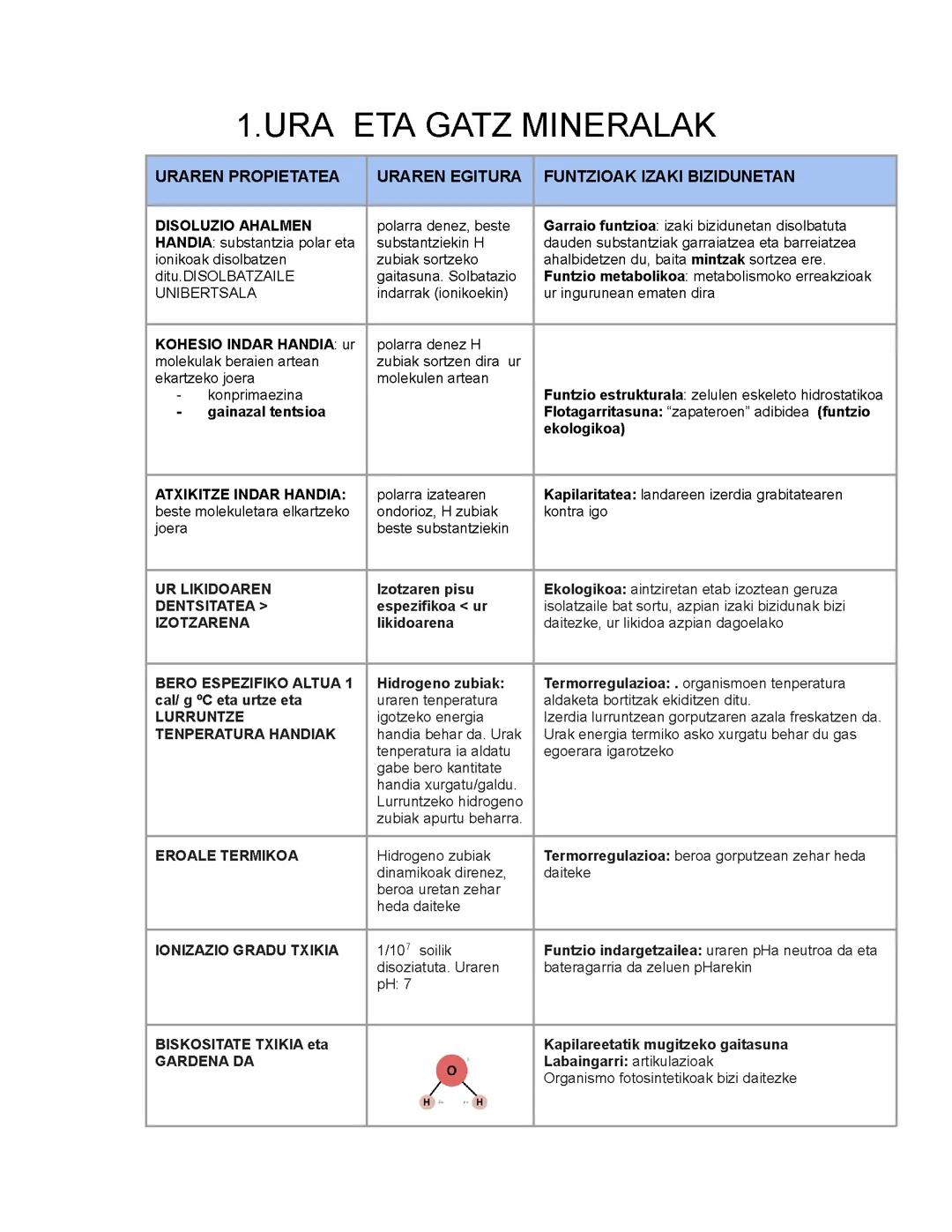 Biomolekulak: Lipidoak, Gluzidoak, Entzimak, Proteinak eta Azido Nukleikoak