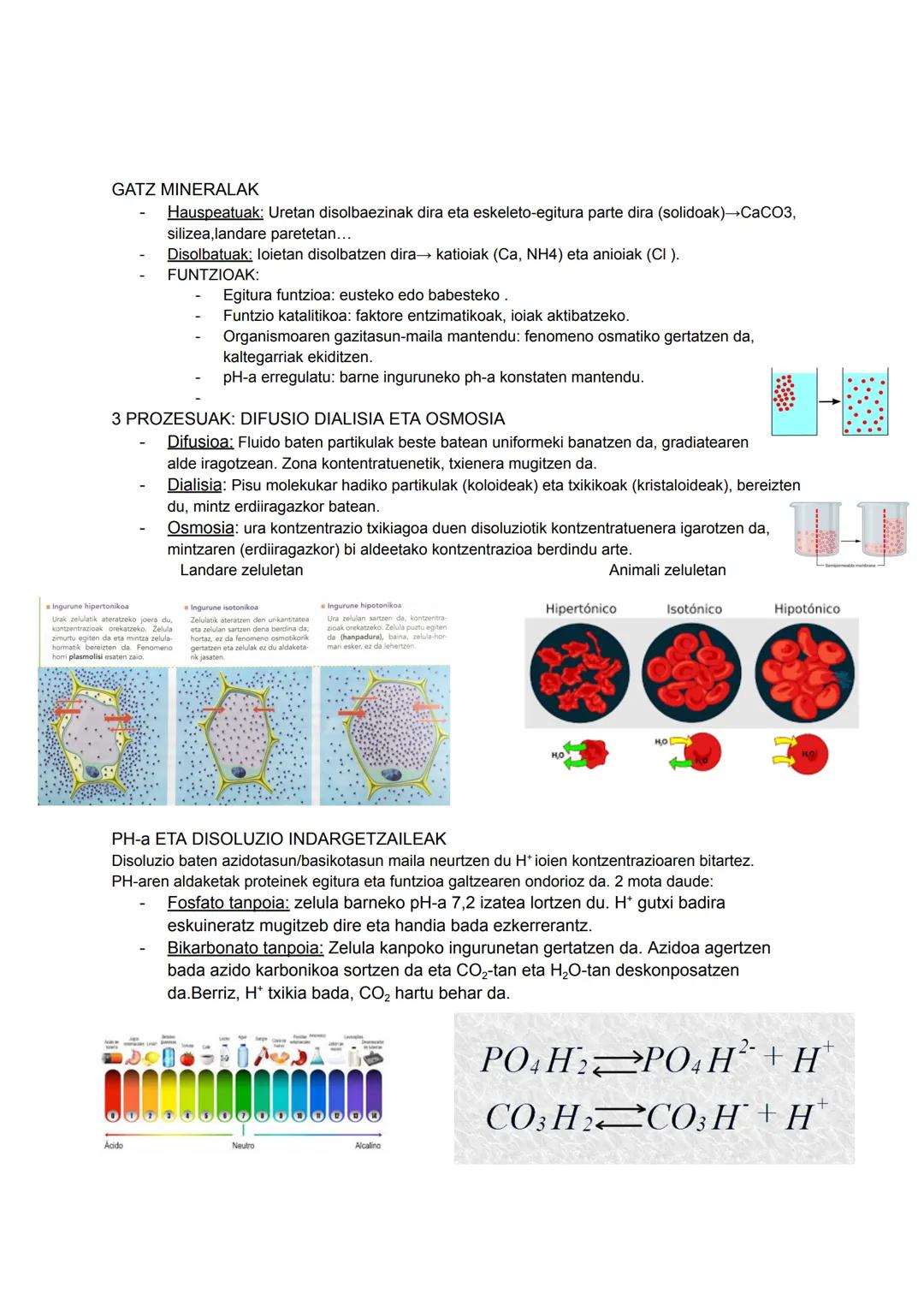 1.URA ETA GATZ MINERALAK
URAREN PROPIETATEA
DISOLUZIO AHALMEN
HANDIA: substantzia polar eta
ionikoak disolbatzen
ditu.DISOLBATZAILE
UNIBERTS