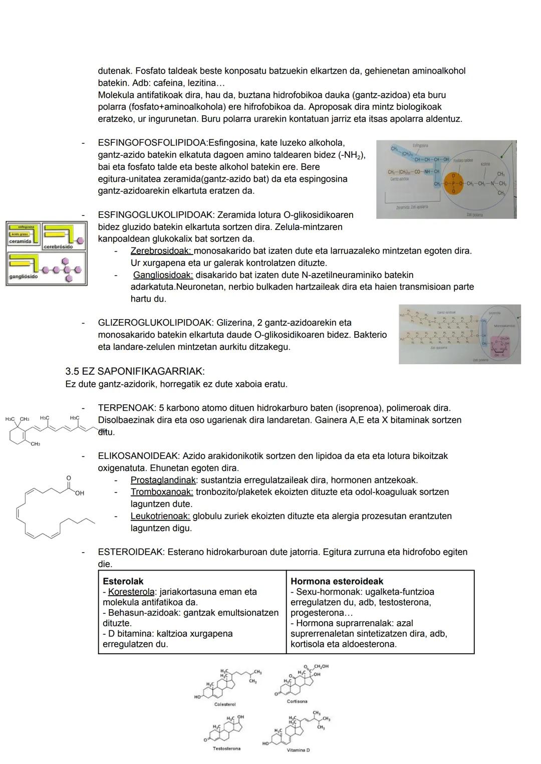 1.URA ETA GATZ MINERALAK
URAREN PROPIETATEA
DISOLUZIO AHALMEN
HANDIA: substantzia polar eta
ionikoak disolbatzen
ditu.DISOLBATZAILE
UNIBERTS