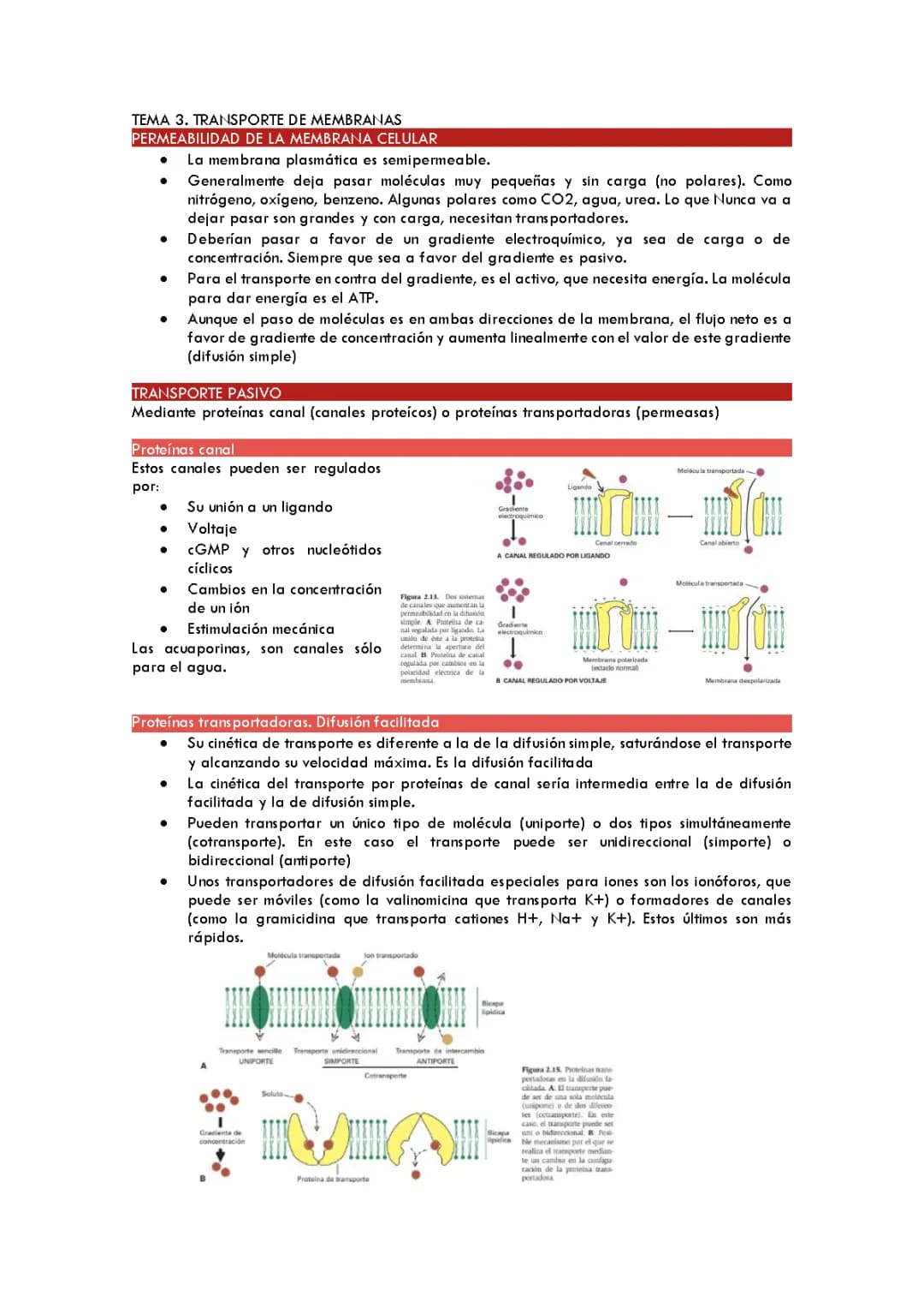 Transporte a través de la membrana