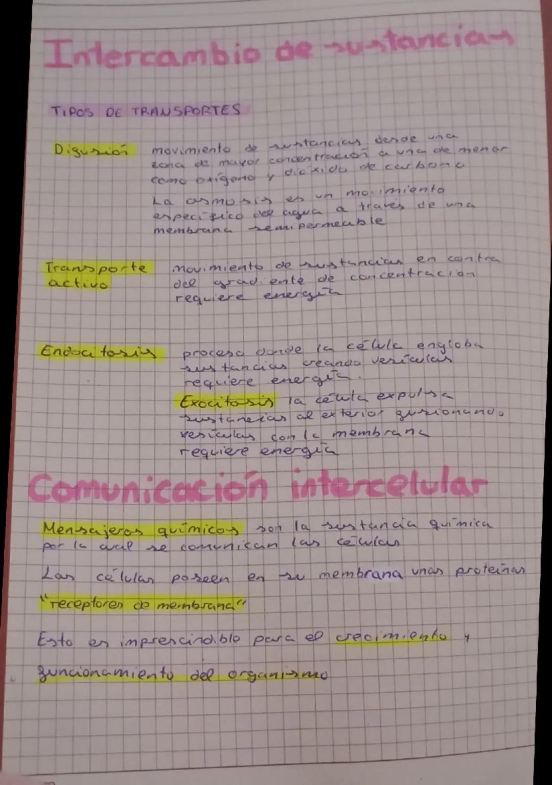 # EL SER HUMANO

Compuesto por biomoleculas.

Constituido por células occatistas.

- Nutriaon heterotroga

Realiza las 3 sunciones vitalex.

