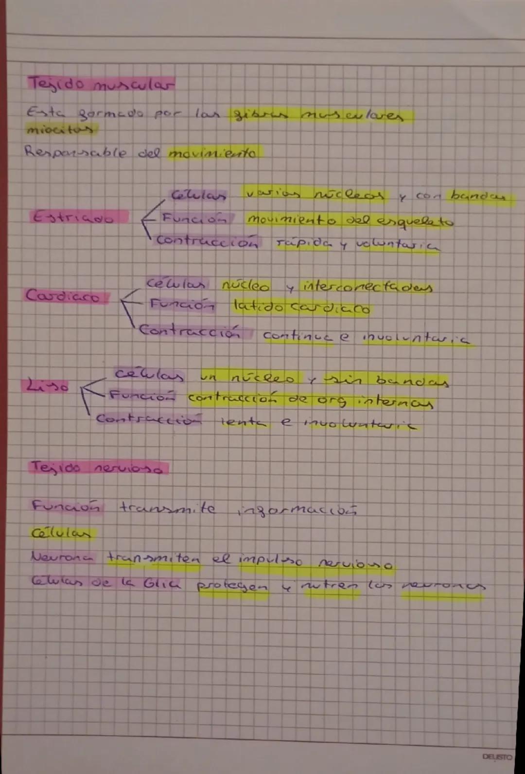 # EL SER HUMANO

Compuesto por biomoleculas.

Constituido por células occatistas.

- Nutriaon heterotroga

Realiza las 3 sunciones vitalex.
