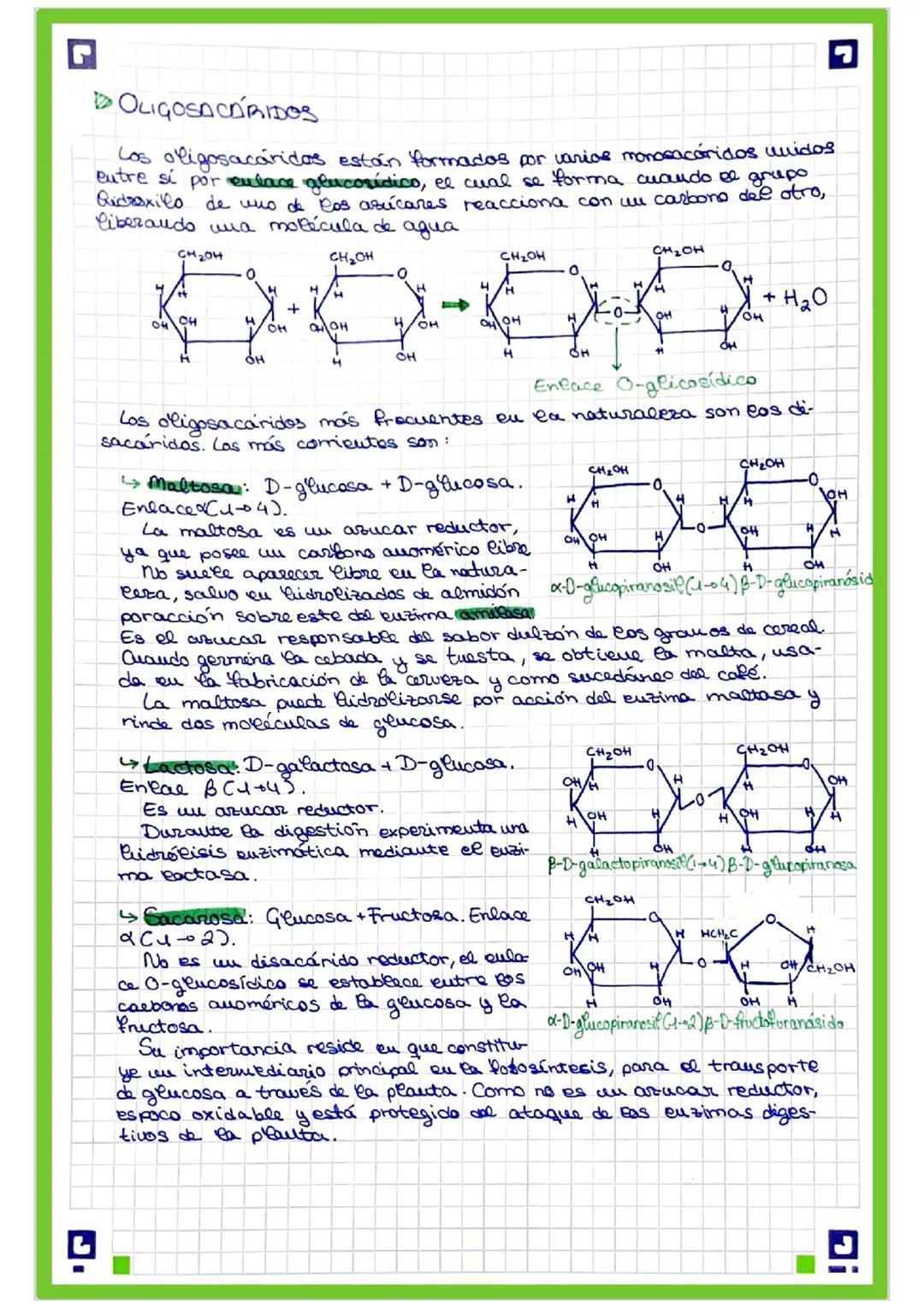 G
TEMA 2.- BIOMOLECULAS ORGÁNICAS QUE CONSTITU-
YEN LAS CÉLULAS: GLUCIDOS.
Los glúcidos son componentes moleculares de los que la me
teria v