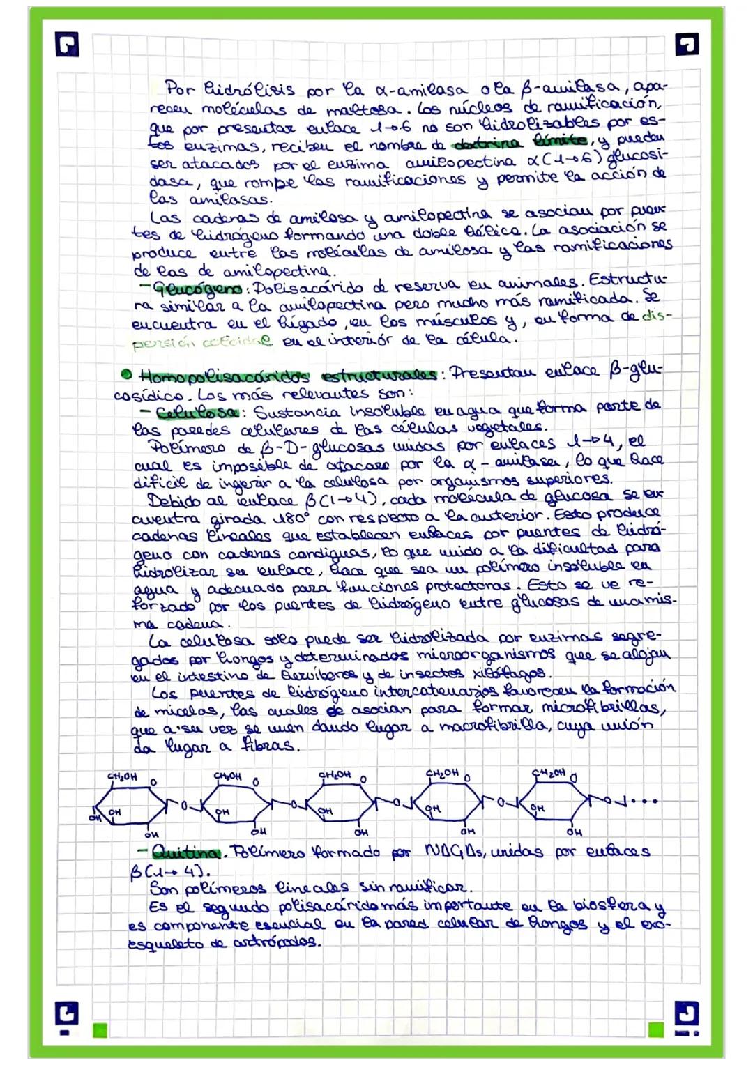 G
TEMA 2.- BIOMOLECULAS ORGÁNICAS QUE CONSTITU-
YEN LAS CÉLULAS: GLUCIDOS.
Los glúcidos son componentes moleculares de los que la me
teria v