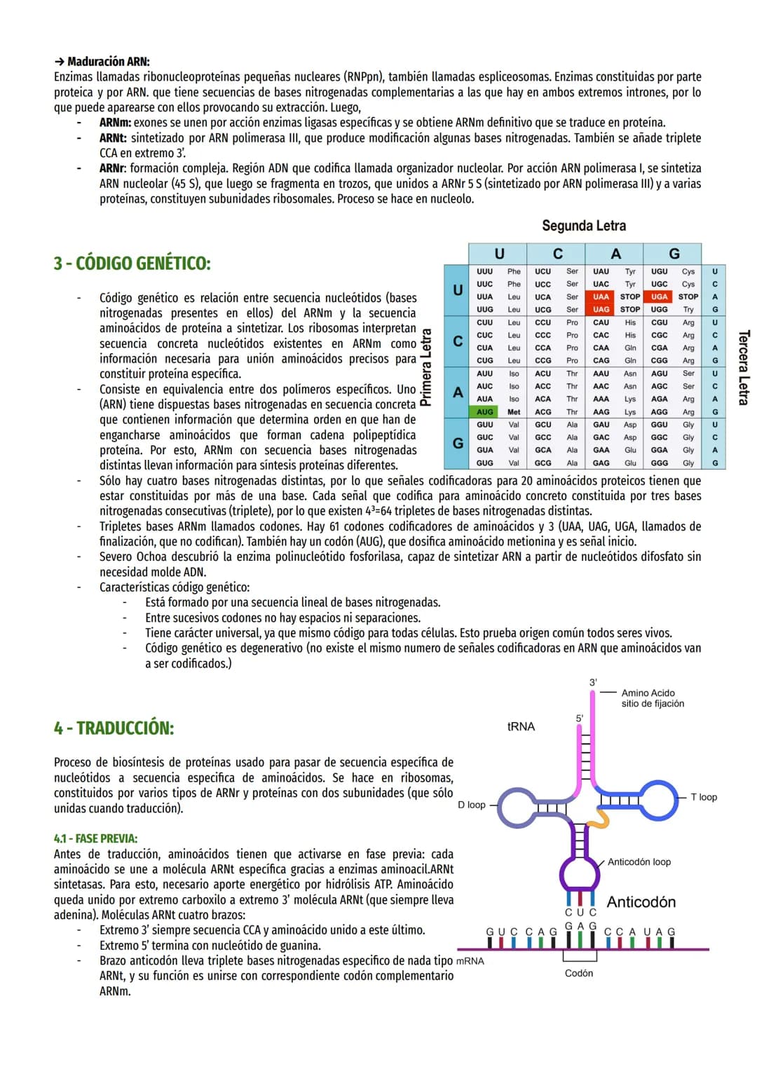 TEMA 17 - EXPRESIÓN MENSAJE ADN:
1- EL DOGMA CENTRAL DE LA BIOLOGÍA MOLECULAR:
Información genética célula es causa de síntesis proteínas es
