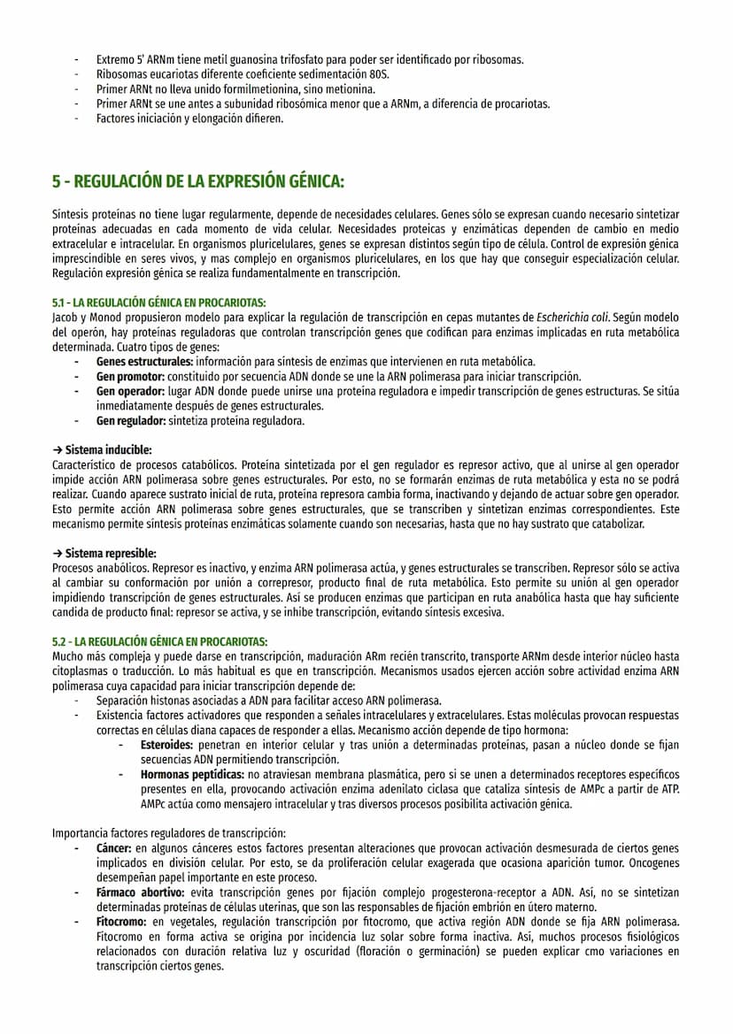 TEMA 17 - EXPRESIÓN MENSAJE ADN:
1- EL DOGMA CENTRAL DE LA BIOLOGÍA MOLECULAR:
Información genética célula es causa de síntesis proteínas es