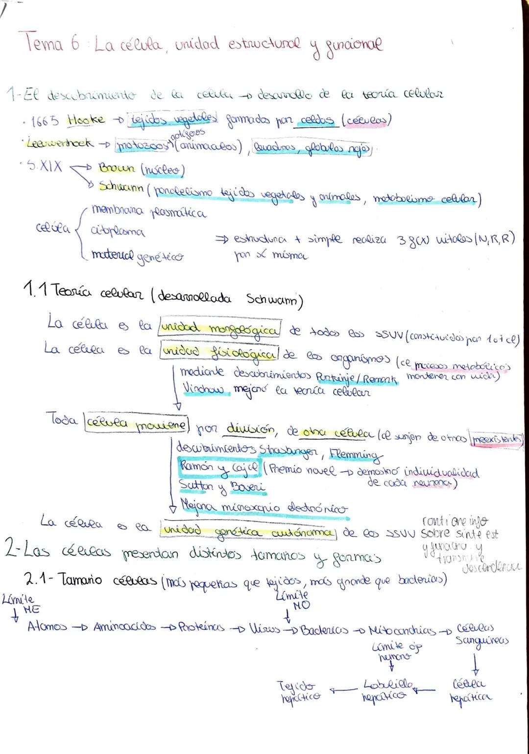 Apuntes Completo de Biología 2º Bachillerato
