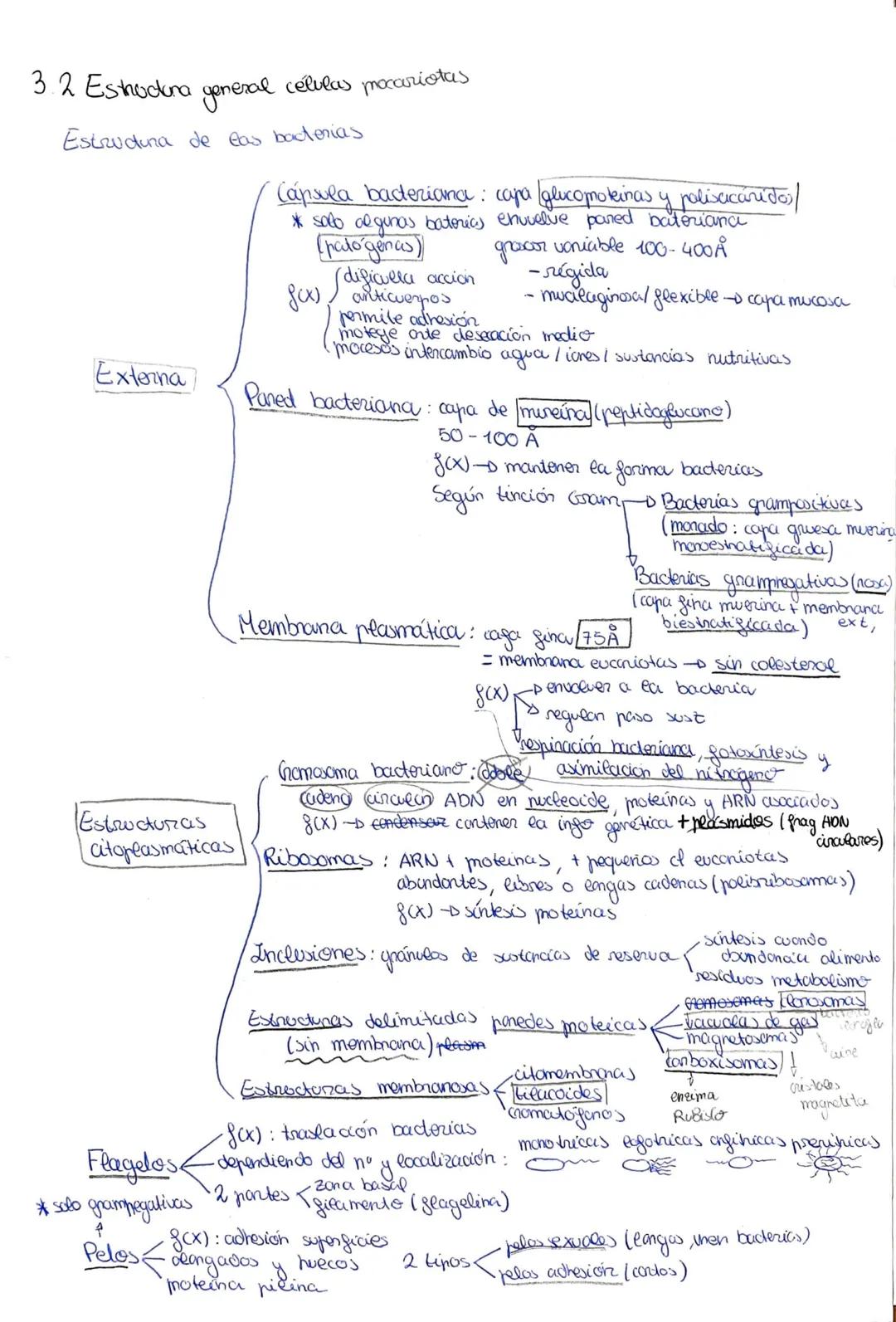 # Tema 6: La célula, unidad estructural y funcional

1-El descubrimiento de la celula desanallo de la teoría celular

•1665 Hooke tejidos ve