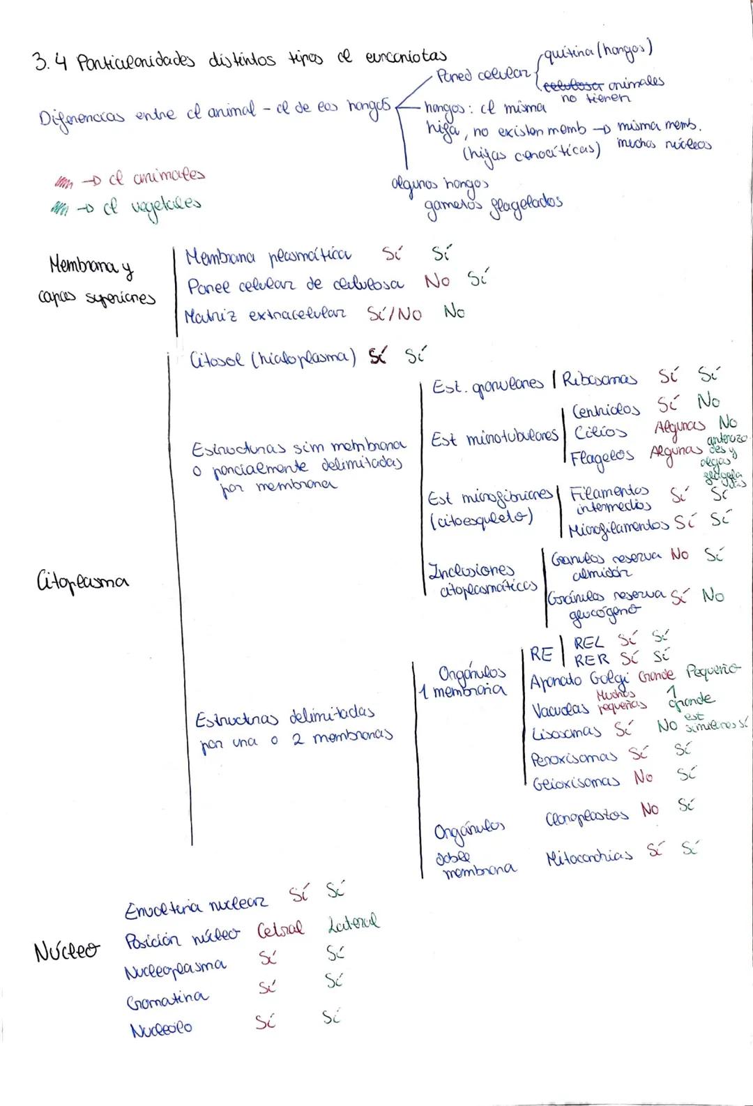 # Tema 6: La célula, unidad estructural y funcional

1-El descubrimiento de la celula desanallo de la teoría celular

•1665 Hooke tejidos ve