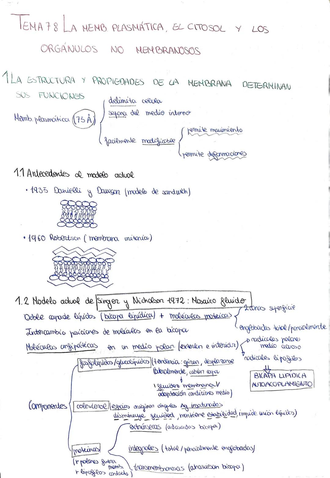 # Tema 6: La célula, unidad estructural y funcional

1-El descubrimiento de la celula desanallo de la teoría celular

•1665 Hooke tejidos ve