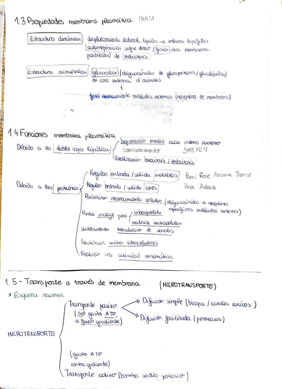 # Tema 6: La célula, unidad estructural y funcional

1-El descubrimiento de la celula desanallo de la teoría celular

•1665 Hooke tejidos ve