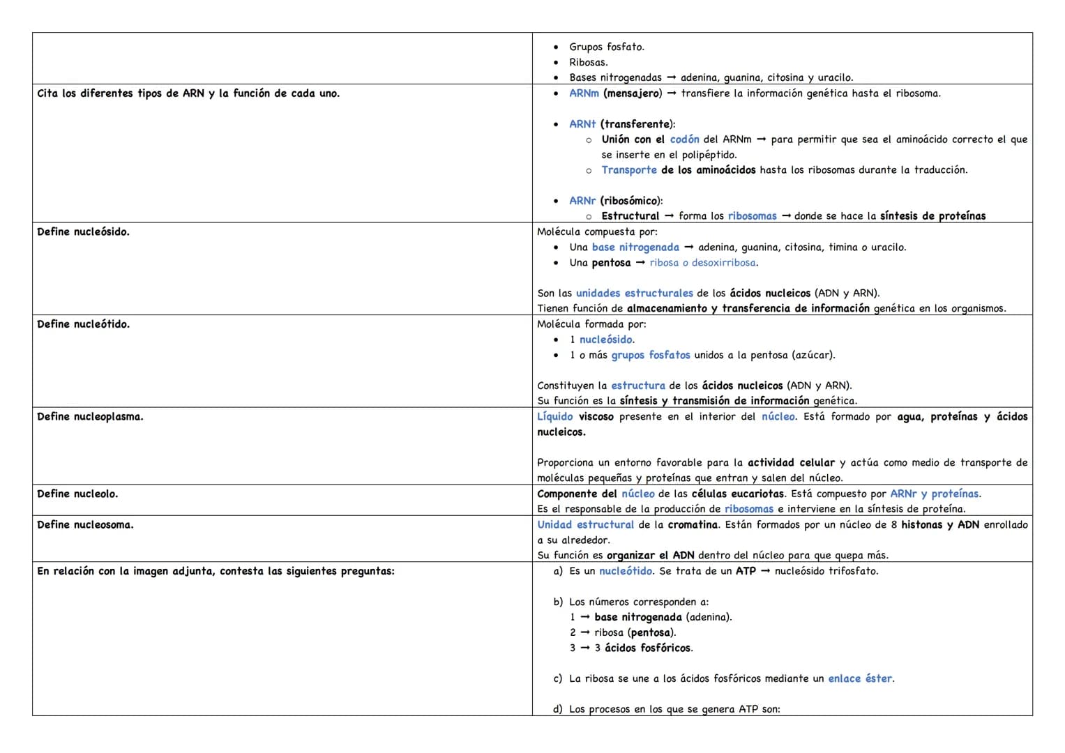 Haz un esquema de una molécula de ADN.
Haz un esquema de una molécula de ARN mensajero.
Cita los tipos de ARN existentes.
Puentes de hidróge