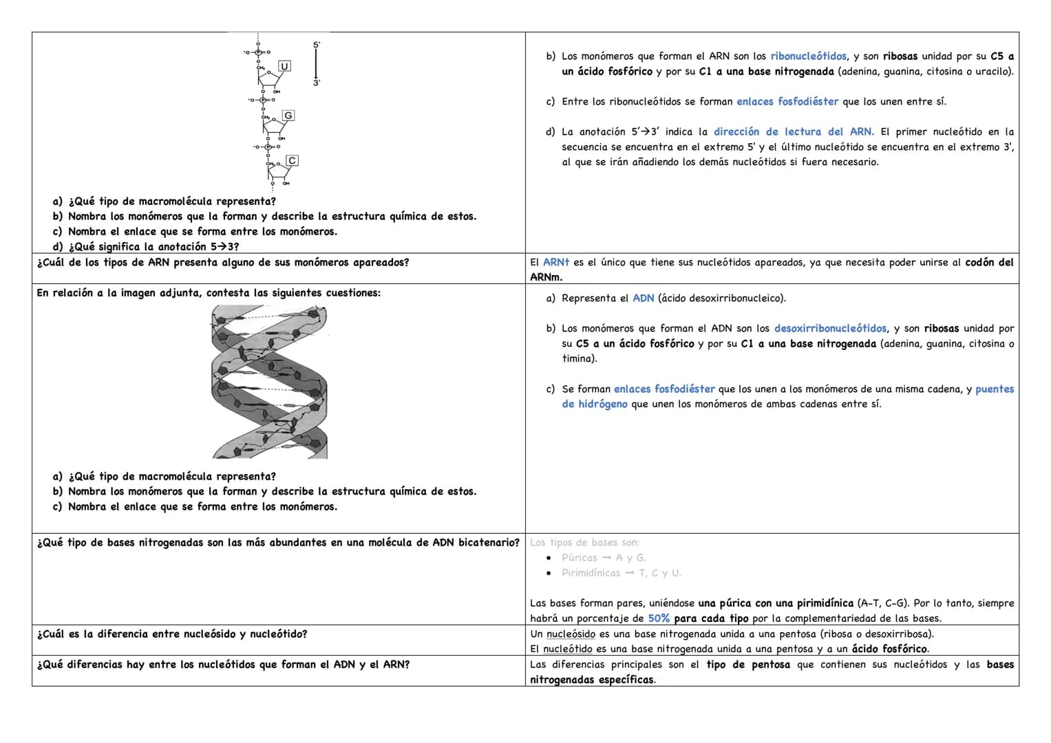 Haz un esquema de una molécula de ADN.
Haz un esquema de una molécula de ARN mensajero.
Cita los tipos de ARN existentes.
Puentes de hidróge