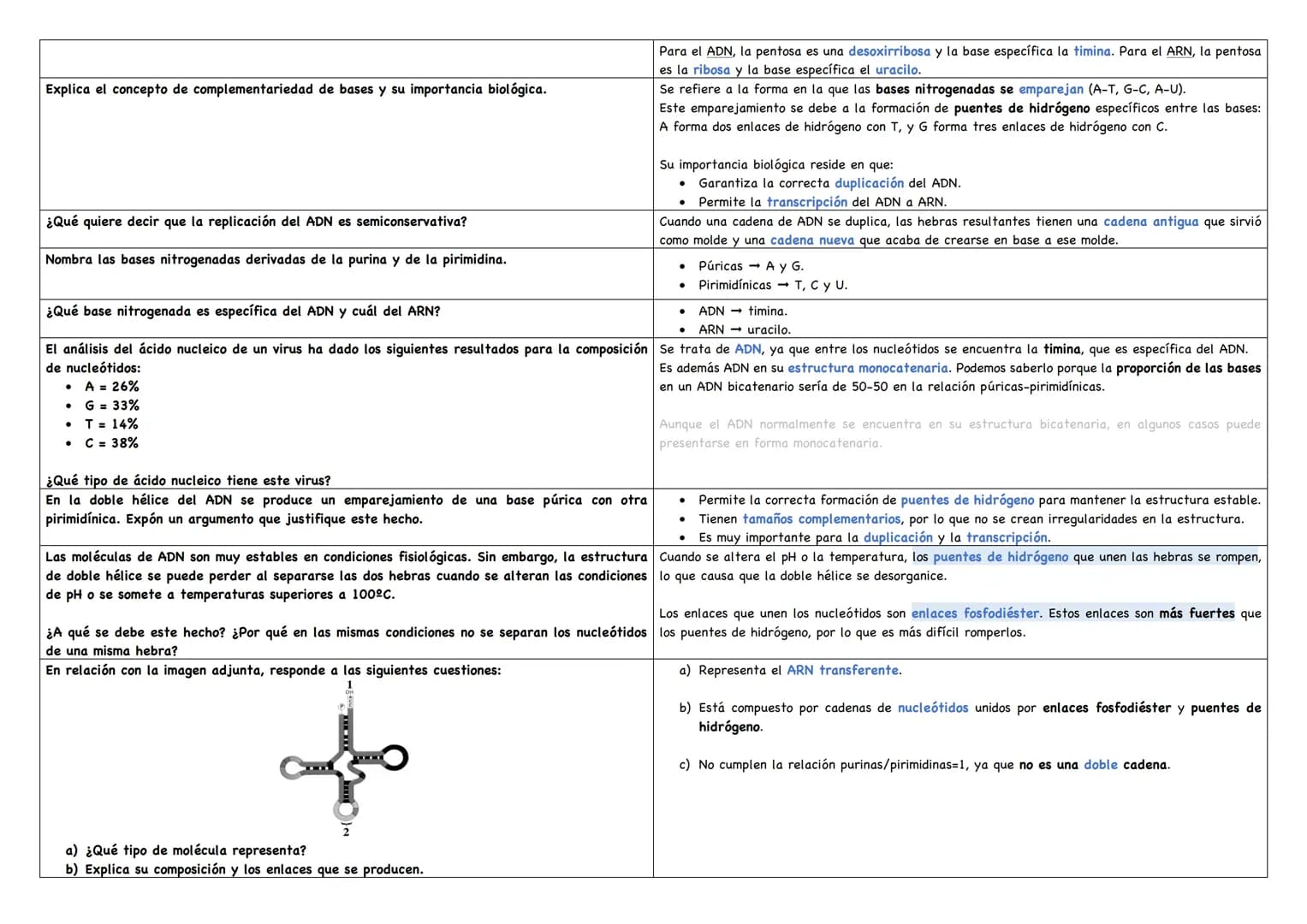 Haz un esquema de una molécula de ADN.
Haz un esquema de una molécula de ARN mensajero.
Cita los tipos de ARN existentes.
Puentes de hidróge